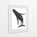 Ballena en líneas negras - DIEGO D L | Cuadro decorativo de Canvas Lab