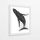 Ballena en líneas negras - DIEGO D L | Cuadro decorativo de Canvas Lab