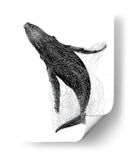 Ballena en líneas negras - DIEGO D L | Cuadro decorativo de Canvas Lab