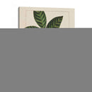 Silva Deja Yo - John Silva | Cuadro decorativo de Canvas Lab