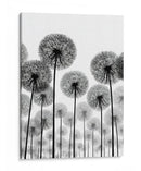 Paisajes de dientes de león - DIEGO D L | Cuadro decorativo de Canvas Lab