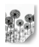 Paisajes de dientes de león - DIEGO D L | Cuadro decorativo de Canvas Lab
