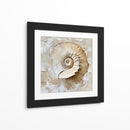 Caracol Impasto - Dav Madrid | Cuadro decorativo de Canvas Lab