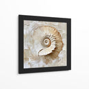 Caracol Impasto - Dav Madrid | Cuadro decorativo de Canvas Lab