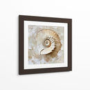 Caracol Impasto - Dav Madrid | Cuadro decorativo de Canvas Lab
