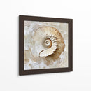 Caracol Impasto - Dav Madrid | Cuadro decorativo de Canvas Lab