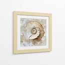 Caracol Impasto - Dav Madrid | Cuadro decorativo de Canvas Lab