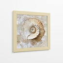 Caracol Impasto - Dav Madrid | Cuadro decorativo de Canvas Lab