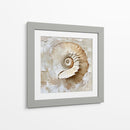 Caracol Impasto - Dav Madrid | Cuadro decorativo de Canvas Lab