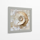 Caracol Impasto - Dav Madrid | Cuadro decorativo de Canvas Lab