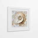 Caracol Impasto - Dav Madrid | Cuadro decorativo de Canvas Lab