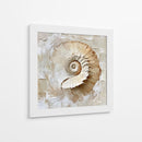 Caracol Impasto - Dav Madrid | Cuadro decorativo de Canvas Lab