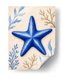 Estrella de Mar Set de Baño 2 - Dav Madrid | Cuadro decorativo de Canvas Lab