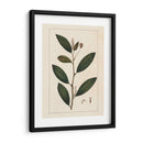 Silva Deja V - John Silva | Cuadro decorativo de Canvas Lab