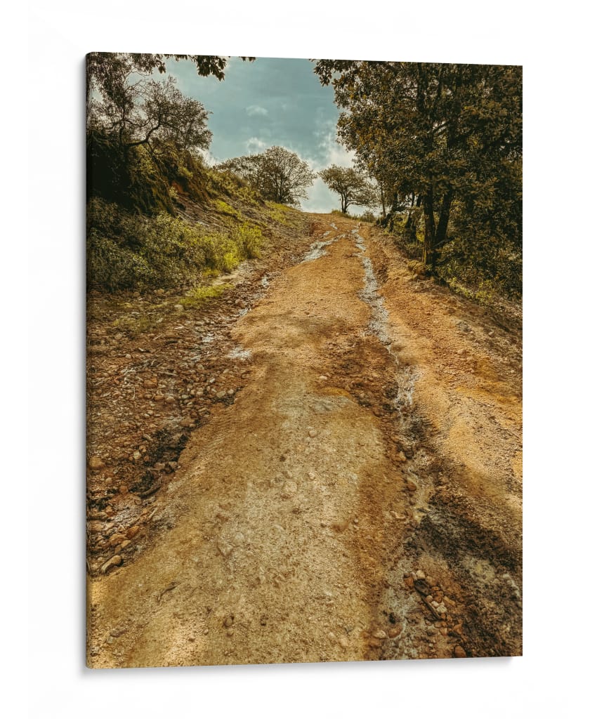 Caminando hacia algún lugar - E Ordóñez | Cuadro decorativo de Canvas Lab