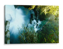 Bosque en Vancouver - E Ordóñez | Cuadro decorativo de Canvas Lab