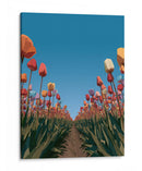 Surcos de tulipanes coloridos - DIEGO D L | Cuadro decorativo de Canvas Lab