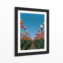 Surcos de tulipanes coloridos - DIEGO D L | Cuadro decorativo de Canvas Lab