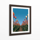 Surcos de tulipanes coloridos - DIEGO D L | Cuadro decorativo de Canvas Lab