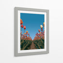 Surcos de tulipanes coloridos - DIEGO D L | Cuadro decorativo de Canvas Lab