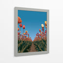 Surcos de tulipanes coloridos - DIEGO D L | Cuadro decorativo de Canvas Lab
