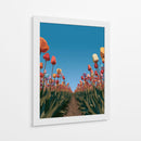 Surcos de tulipanes coloridos - DIEGO D L | Cuadro decorativo de Canvas Lab