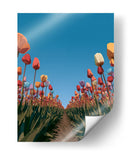 Surcos de tulipanes coloridos - DIEGO D L | Cuadro decorativo de Canvas Lab