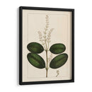 Silva Hojas Vi - John Silva | Cuadro decorativo de Canvas Lab