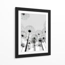 Sombras de dientes de león - DIEGO D L | Cuadro decorativo de Canvas Lab