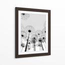 Sombras de dientes de león - DIEGO D L | Cuadro decorativo de Canvas Lab