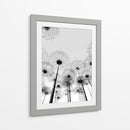 Sombras de dientes de león - DIEGO D L | Cuadro decorativo de Canvas Lab