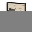 Clasificación De La Garza I - Friedrich Strack | Cuadro decorativo de Canvas Lab