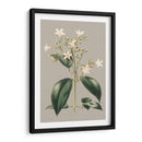 Gabinete Botánico I - E.W. Cooke | Cuadro decorativo de Canvas Lab