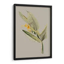 Gabinete Botánico Iii - E.W. Cooke | Cuadro decorativo de Canvas Lab