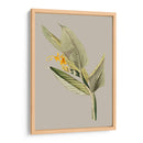 Gabinete Botánico Iii - E.W. Cooke | Cuadro decorativo de Canvas Lab