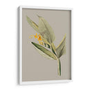 Gabinete Botánico Iii - E.W. Cooke | Cuadro decorativo de Canvas Lab