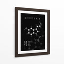 Fórmula Feliz - Puffy Design | Cuadro decorativo de Canvas Lab