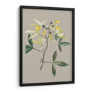 Gabinete Botánico Vi - E.W. Cooke | Cuadro decorativo de Canvas Lab