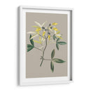 Gabinete Botánico Vi - E.W. Cooke | Cuadro decorativo de Canvas Lab