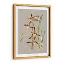 Gabinete Botánico Vii - E.W. Cooke | Cuadro decorativo de Canvas Lab