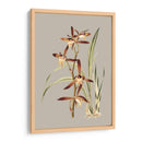 Gabinete Botánico Vii - E.W. Cooke | Cuadro decorativo de Canvas Lab