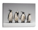 4 pingüinos  - DIEGO D L | Cuadro decorativo de Canvas Lab
