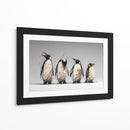 4 pingüinos  - DIEGO D L | Cuadro decorativo de Canvas Lab