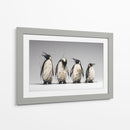 4 pingüinos  - DIEGO D L | Cuadro decorativo de Canvas Lab
