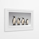 4 pingüinos  - DIEGO D L | Cuadro decorativo de Canvas Lab