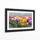 Colores en tulipanes - DIEGO D L | Cuadro decorativo de Canvas Lab