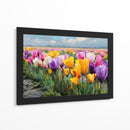 Colores en tulipanes - DIEGO D L | Cuadro decorativo de Canvas Lab