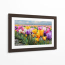 Colores en tulipanes - DIEGO D L | Cuadro decorativo de Canvas Lab