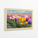Colores en tulipanes - DIEGO D L | Cuadro decorativo de Canvas Lab