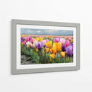 Colores en tulipanes - DIEGO D L | Cuadro decorativo de Canvas Lab